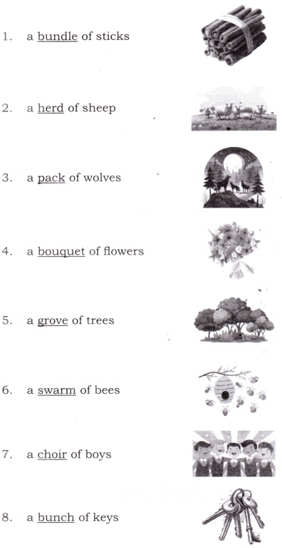 Together We Can Diagram 5