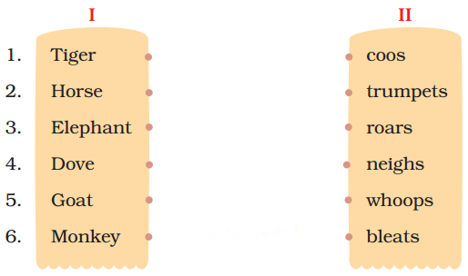 Hekko Diagram 2