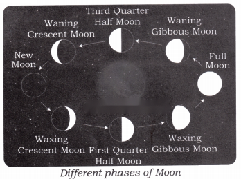 Our Sky Diagram 11