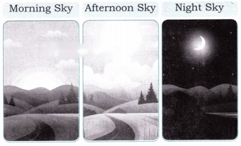 Our Sky Diagram 2