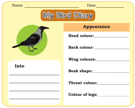 Nature Trail Diagram 10