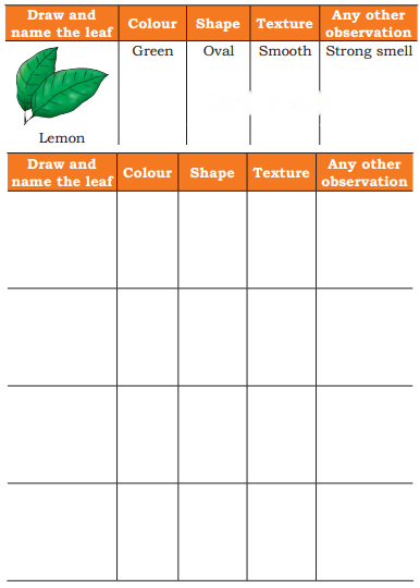 Nature Trail Diagram 15
