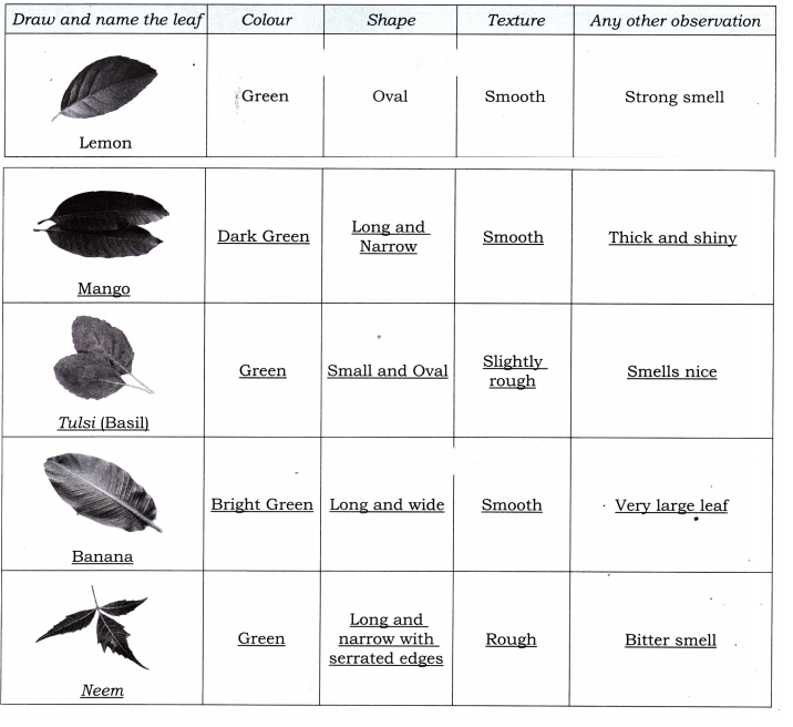 Nature Trail Diagram 16