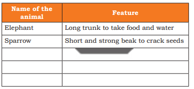 Nature Trail Diagram 2