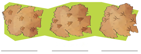 Nature Trail Diagram 4