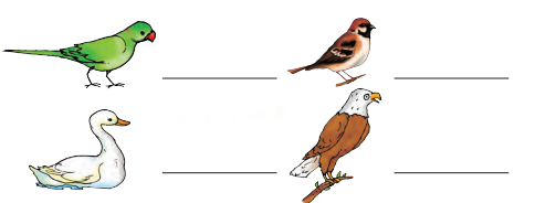 Nature Trail Diagram 7