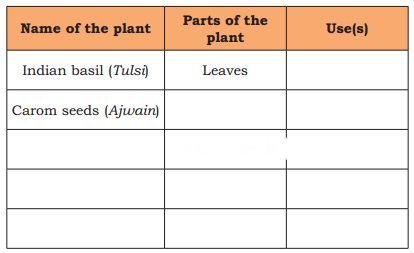 Growing up with Nature Diagram 7