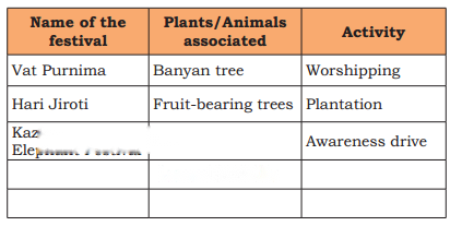 Growing up with Nature Diagram 8