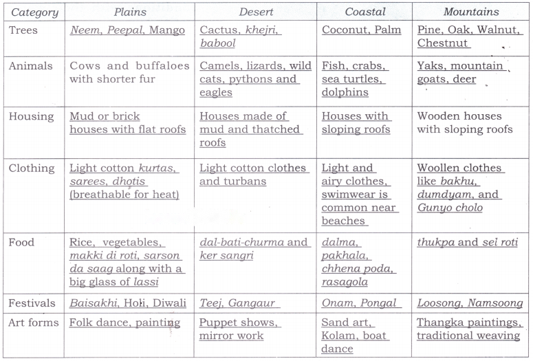 Different Lands, Different Lives Diagram 13