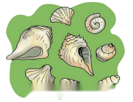 Different Lands, Different Lives Diagram 6
