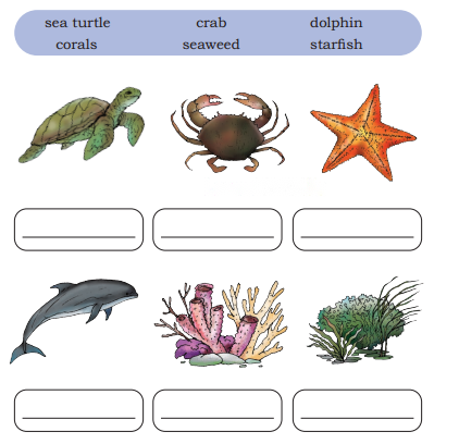 Different Lands, Different Lives Diagram 7
