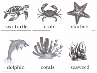 Different Lands, Different Lives Diagram 8