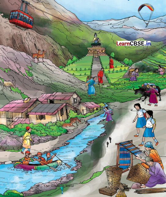 Different Lands, Different Lives Diagram 9