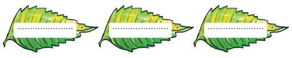नीम (Neem) Diagram 1