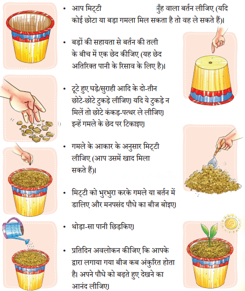 नीम (Neem) Diagram 12