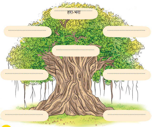 नीम (Neem) Diagram 6