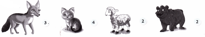 आसमान गिरा (Aasmaan_Gira) Diagram 4