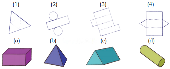Shapes Around Us Diagram 15