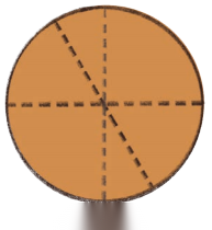 Shapes Around Us Diagram 41