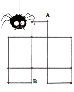 Shapes Around Us Diagram 53