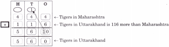 Elephants, Tigers, and Leopards Diagram 13