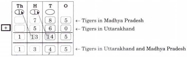 Elephants, Tigers, and Leopards Diagram 15