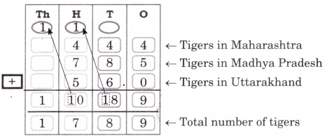 Elephants, Tigers, and Leopards Diagram 17