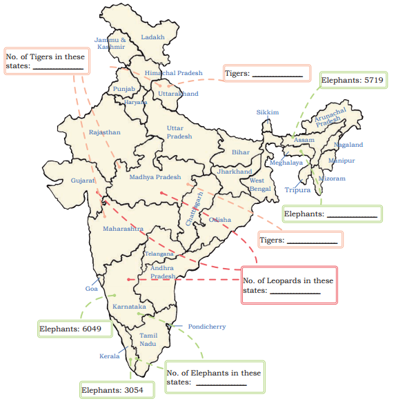 Elephants, Tigers, and Leopards Diagram 21