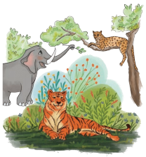 Elephants, Tigers, and Leopards Diagram 7