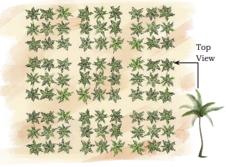 Pattern Around Us Diagram 1