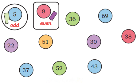 Pattern Around Us Diagram 10