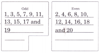 Pattern Around Us Diagram 9