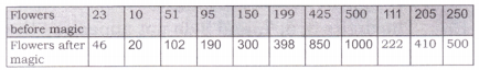 Equal Groups Diagram 23
