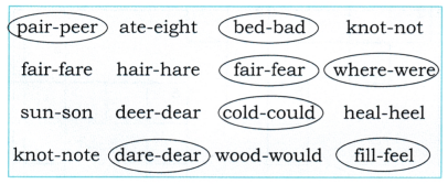 Papas Spectacles Diagram 8