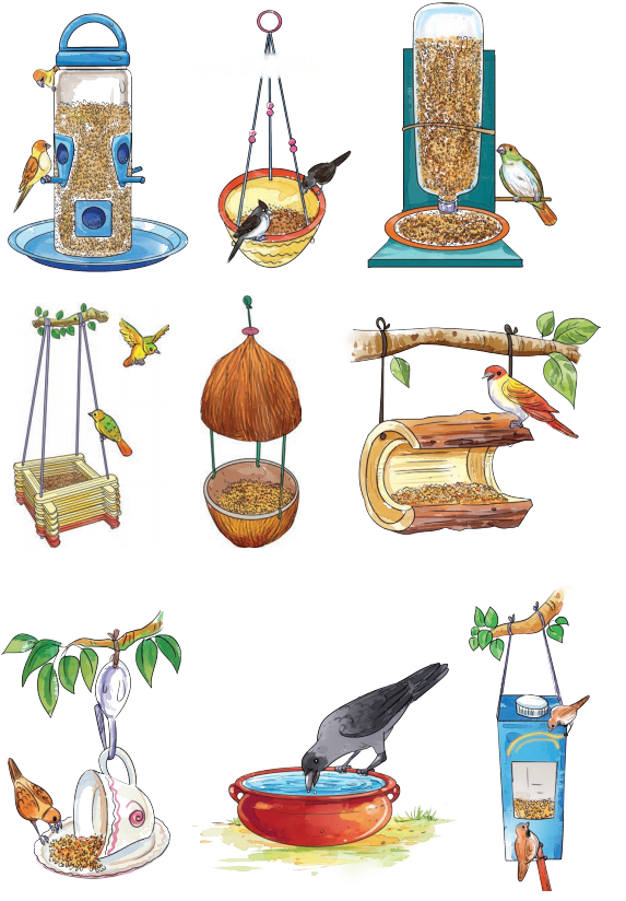 The Wise Parrot Diagram 4