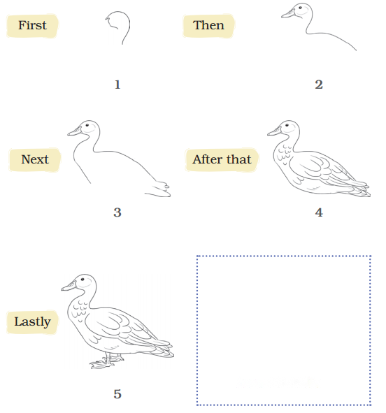 The Frog Diagram 5