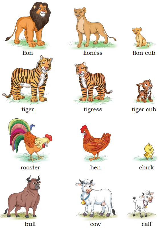 What a Tank Diagram 3