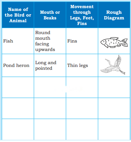 Water The Essence of Life Diagram 16