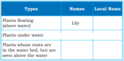 Water The Essence of Life Diagram 18