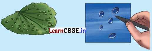 Water The Essence of Life Diagram 19