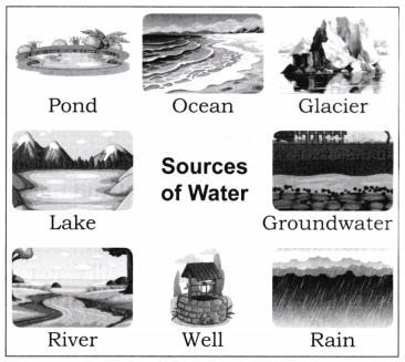 Water The Essence of Life Diagram 2