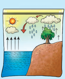 Water The Essence of Life Diagram 6