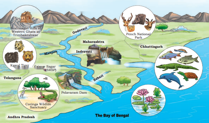 Journey of a River Diagram 1