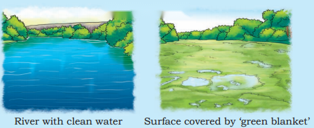 Journey of a River Diagram 2