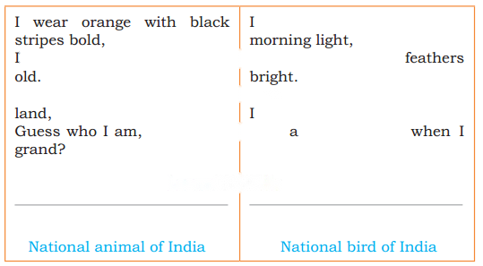 Our Vibrant Country Diagram 5