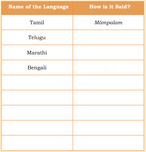 Our Vibrant Country Diagram 6