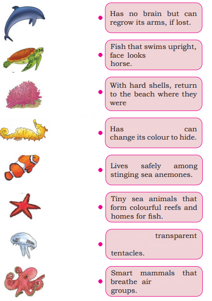 Some Unique Places Diagram 4