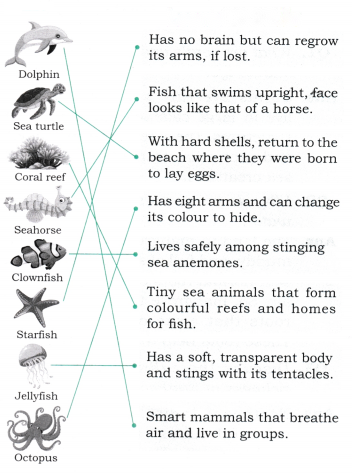 Some Unique Places Diagram 5