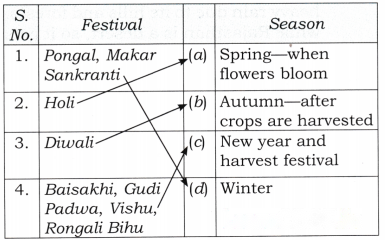 Rhythms of Nature Diagram 8