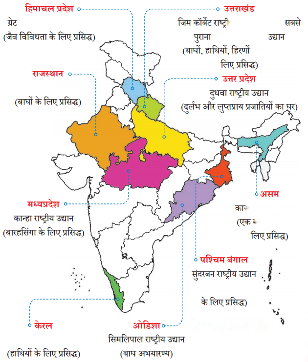 काजीरंगा राष्ट्रीय उद्यान की यात्रा (Kaziranga_Rashtriya_Udyan) Diagram 13